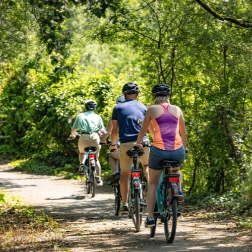 Family bike rental in Vendée, Apremont, La Chaize-Giraud, Landevieille, canoe and bike trails